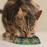 NEW! Bella Cat Pet Bowl - Laurel Burch Studios