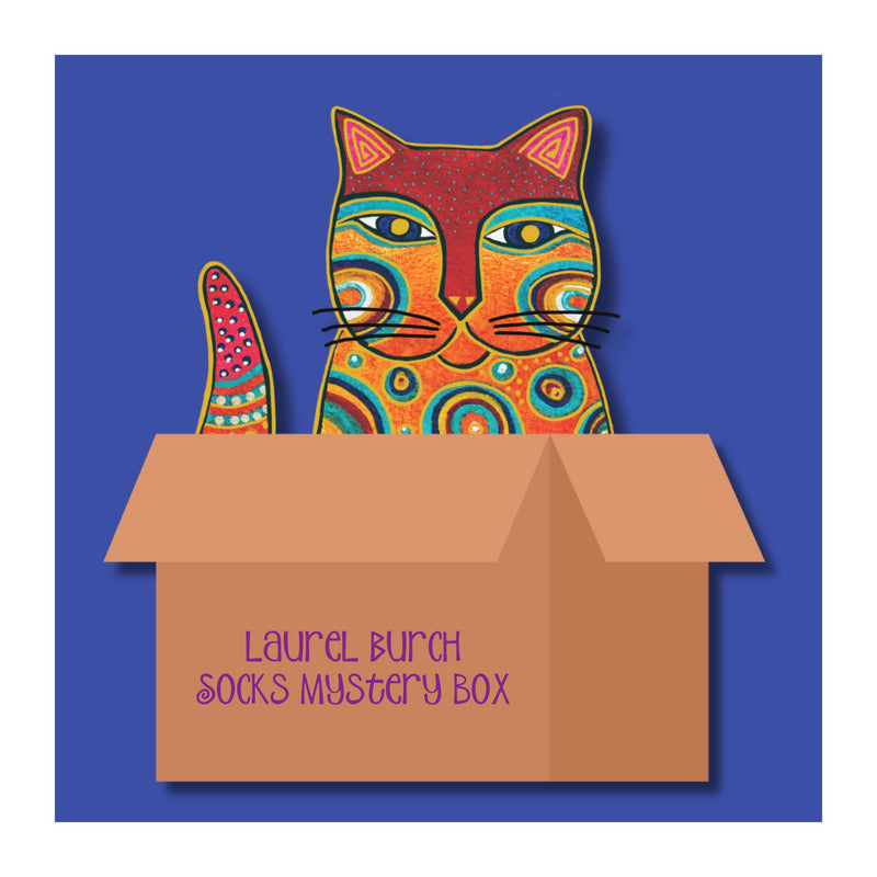 Sock Mystery Box